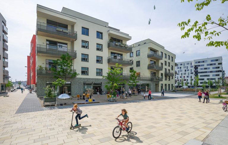 Affordable Housing and Inclusive Development